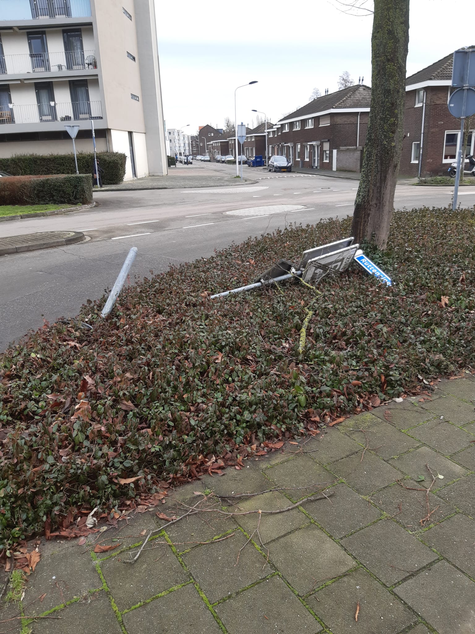 665f1426-ffd5-414c-bf35-5d4d55416bea